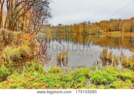 Beautiful romantic alley in a park with colorful trees and sunlight. autumn natural background Gatchina