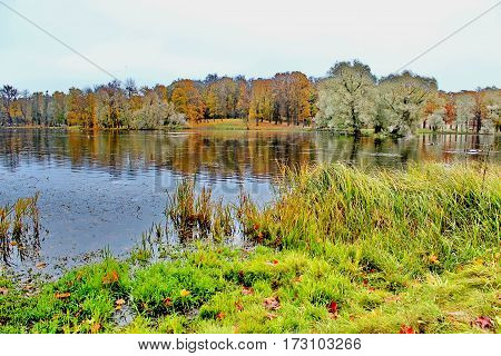 Beautiful romantic alley in a park with colorful trees and sunlight. autumn natural background Gatchina