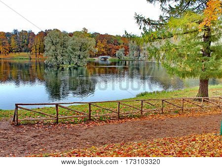 Beautiful romantic alley in a park with colorful trees and sunlight. autumn natural background Gatchina