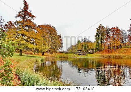 Beautiful romantic alley in a park with colorful trees and sunlight. autumn natural background Gatchina