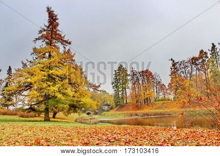 Beautiful romantic alley in a park with colorful trees and sunlight. autumn natural background Gatchina