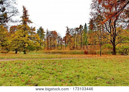 Beautiful romantic alley in a park with colorful trees and sunlight. autumn natural background Gatchina