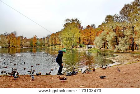 Beautiful romantic alley in a park with colorful trees and sunlight. autumn natural background Gatchina
