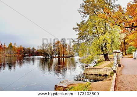 Beautiful romantic alley in a park with colorful trees and sunlight. autumn natural background Gatchina