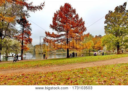 Beautiful romantic alley in a park with colorful trees and sunlight. autumn natural background Gatchina