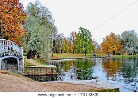 Beautiful romantic alley in a park with colorful trees and sunlight. autumn natural background Gatchina