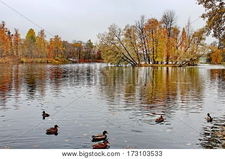Beautiful romantic alley in a park with colorful trees and sunlight. autumn natural background Gatchina