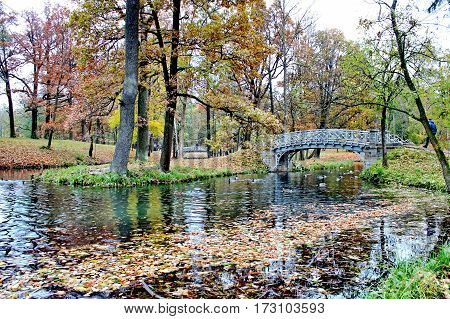 Beautiful romantic alley in a park with colorful trees and sunlight. autumn natural background Gatchina