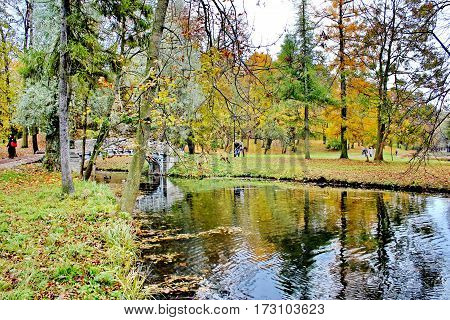 Beautiful romantic alley in a park with colorful trees and sunlight. autumn natural background Gatchina