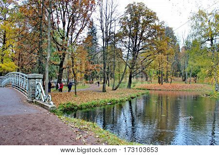 Beautiful romantic alley in a park with colorful trees and sunlight. autumn natural background Gatchina