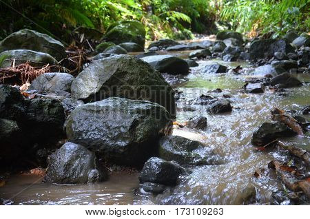 Rock Nature River Water Rain Tropical Nobody