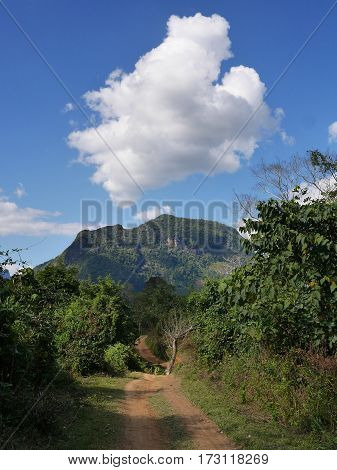Dirt path in beautiful nature leading up a small hill