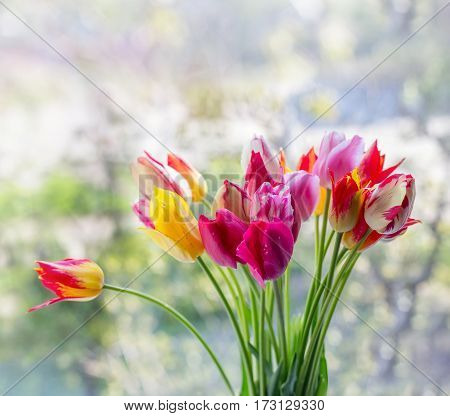 Bright spring bouquet of tulips on the background with copy space