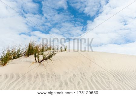 White clouds and blue sky above stunning Mangwhai Heads rising sand dunes with green and orange sedge