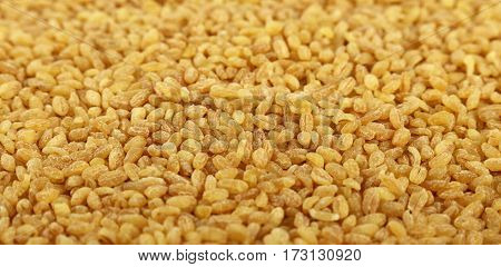 Yellow Bulgur Big Grains Close Up Background