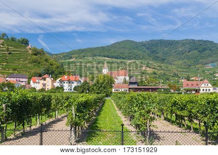 KREMS AUSTRIA - 28TH AUGUST 2015: A view of buildings and Vineyards in Krems during the summer months.