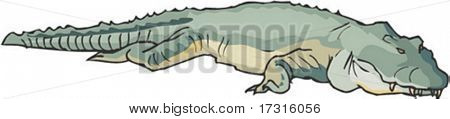 Alligator karaktär