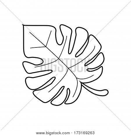 monstera tropicalplant thin line vector illustration eps 10