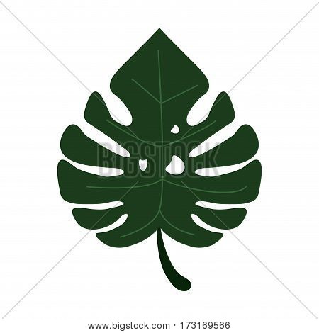 monstera tropicalplant icon vector illustration eps 10