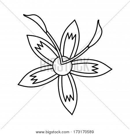 flower daylily beautiful flora thin line vector illustration eps 10