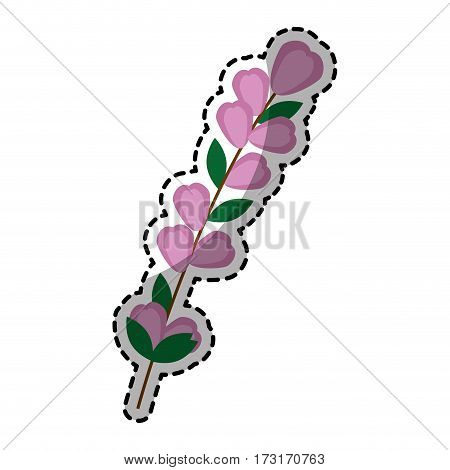 sticker of color silhouette flowers with oval leaves and ramifications vector illustration