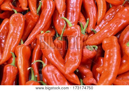 Organic and healthy Pictures of capia pepper