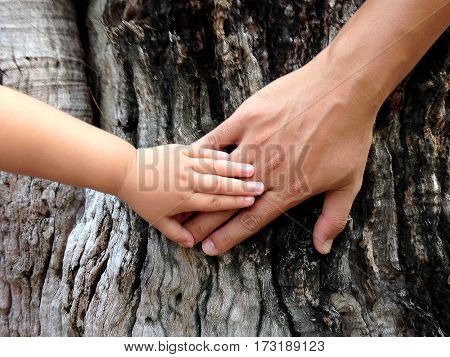 Small hand of a little girl on the big daddy's hand against a big tree background. Ecology concept