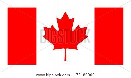 Vector official flag of Canada  isolated on white