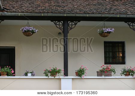 Porch With Flowers In Bran