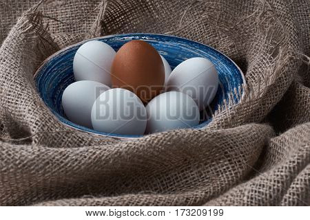 Ecological natural fresh eggs collected in the plate for cooking