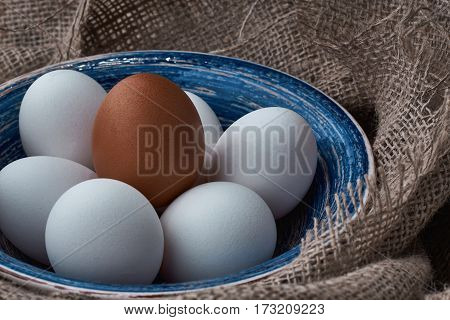 Ecological natural fresh eggs collected in the plate for cooking