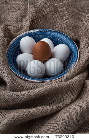Ecological natural fresh eggs collected in the plate for cooking