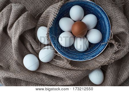 Ecological natural fresh eggs collected in the plate for cooking