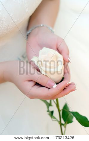 Delicate flower in the hands of young girl dressed white dress