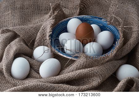 Ecological natural fresh eggs collected in the plate for cooking