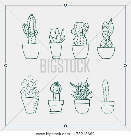 Green cactus in a pot vector illustrations. Hand drawn outline succulent plant set. Cactus plants nature elements.