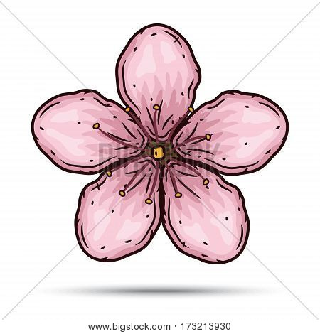 Sakura flowers. Cherry blossom flower. Vector illustration