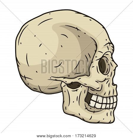 Human skull in hand drawn style. Vector illustration