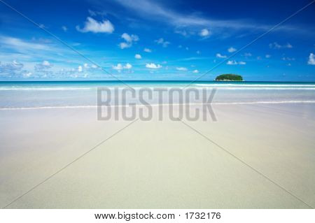 Ø