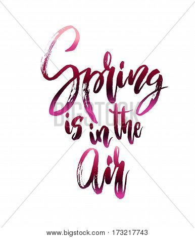 Spring calligraphy card. Calligraphy quote spring in air. Handwritten lettering quote on white isolated background Vector illustration stock vector.