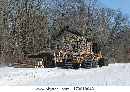 A logging skidder unloading logs on a winter day