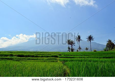 the beautiful mountain scenery on a sunny morning
