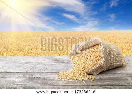 Bulgur scattered out of the bag on table with field of wheat on the background. Agriculture and harvest concept. Ripe field, blue sky with beautiful clouds and sun. Uncooked porridge. Cereal grains
