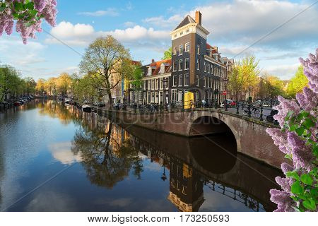 Dutch scenery with canal and mirror reflections, Amstardam, Netherlands with lilac flowers