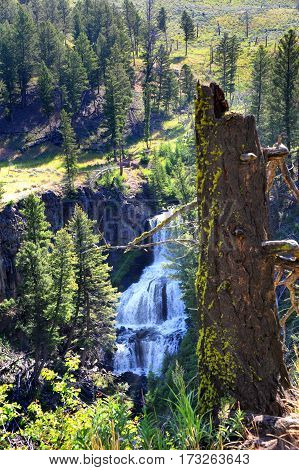 Undine Falls In Yellowstone