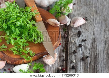 Chervil Background