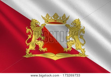 Flag of Utrecht is the capital and most populous city in the Dutch province of Utrecht. 3d illustration