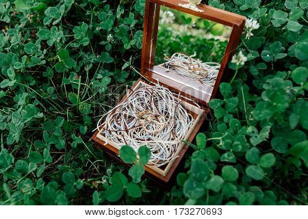 Golden wedding rings lie on the ropes in a wooden box with a mirror which stands on the grass.