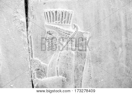 In Iran          Persepolis