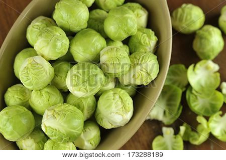 Sprouts